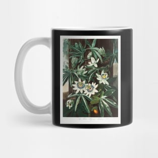 The Passioflora Cerulea Mug